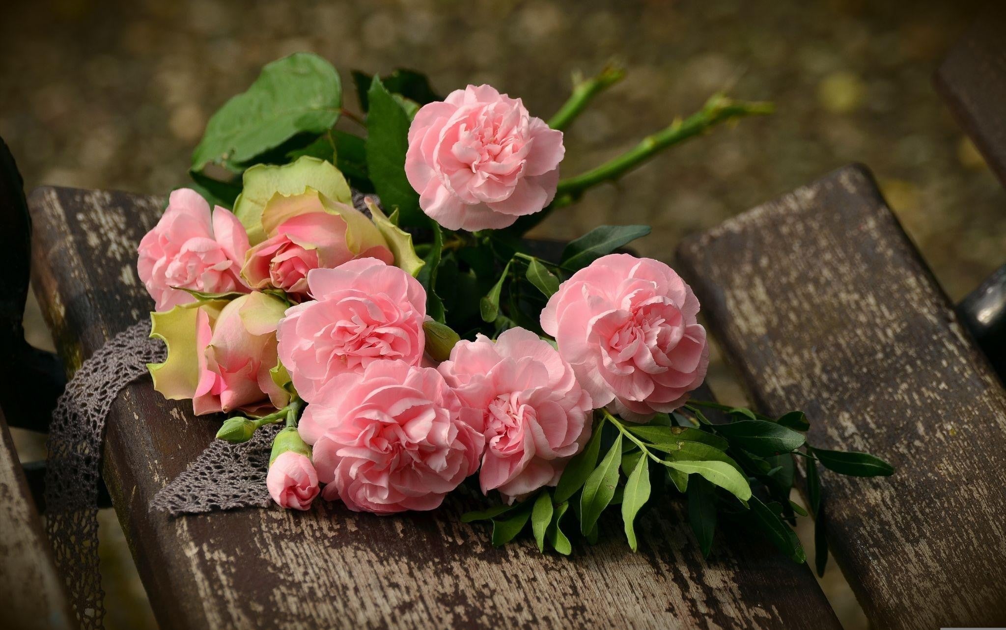 Best Flowers for Love and Romance Guide