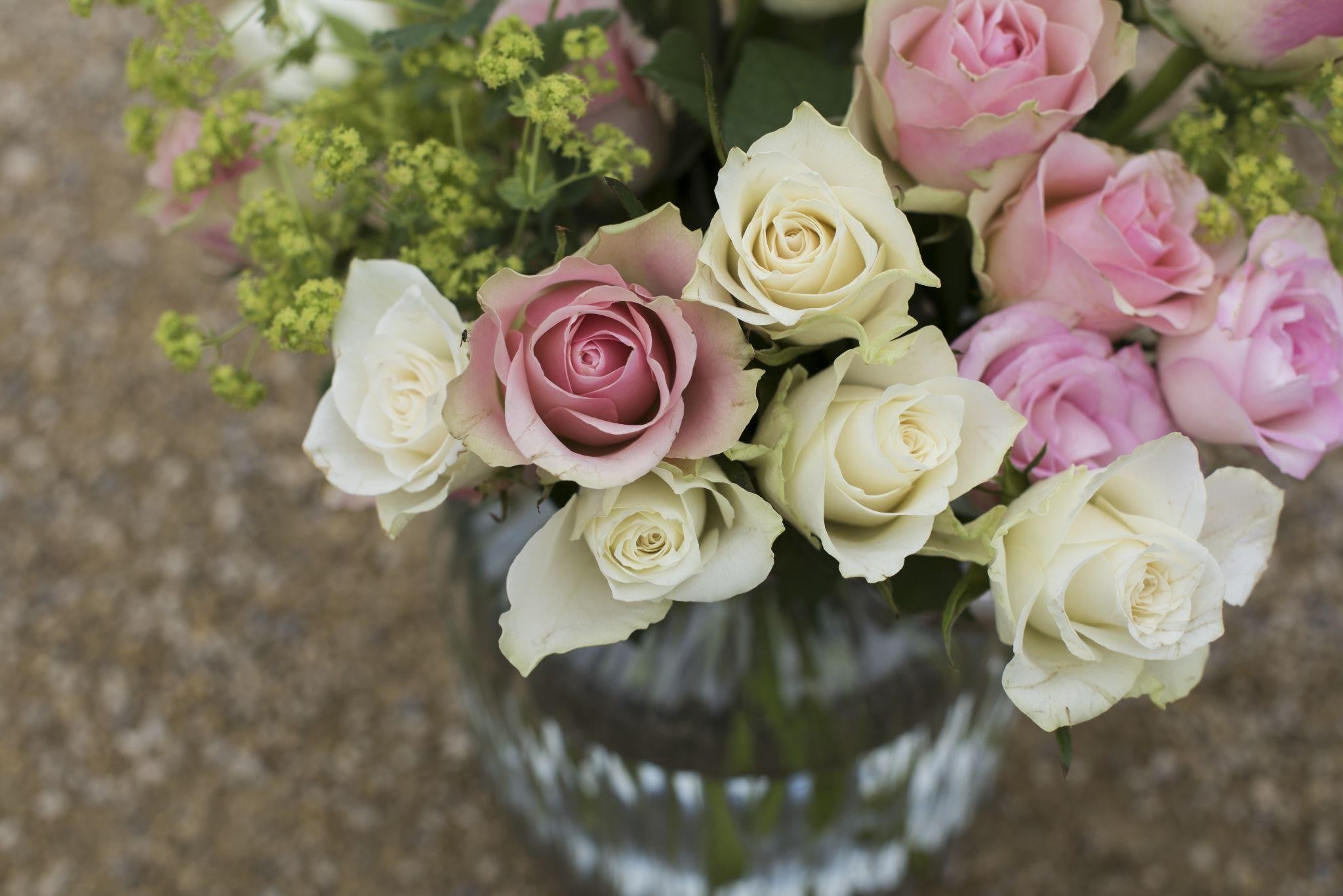 Best Flowers to Send in Lahore for Every Mood