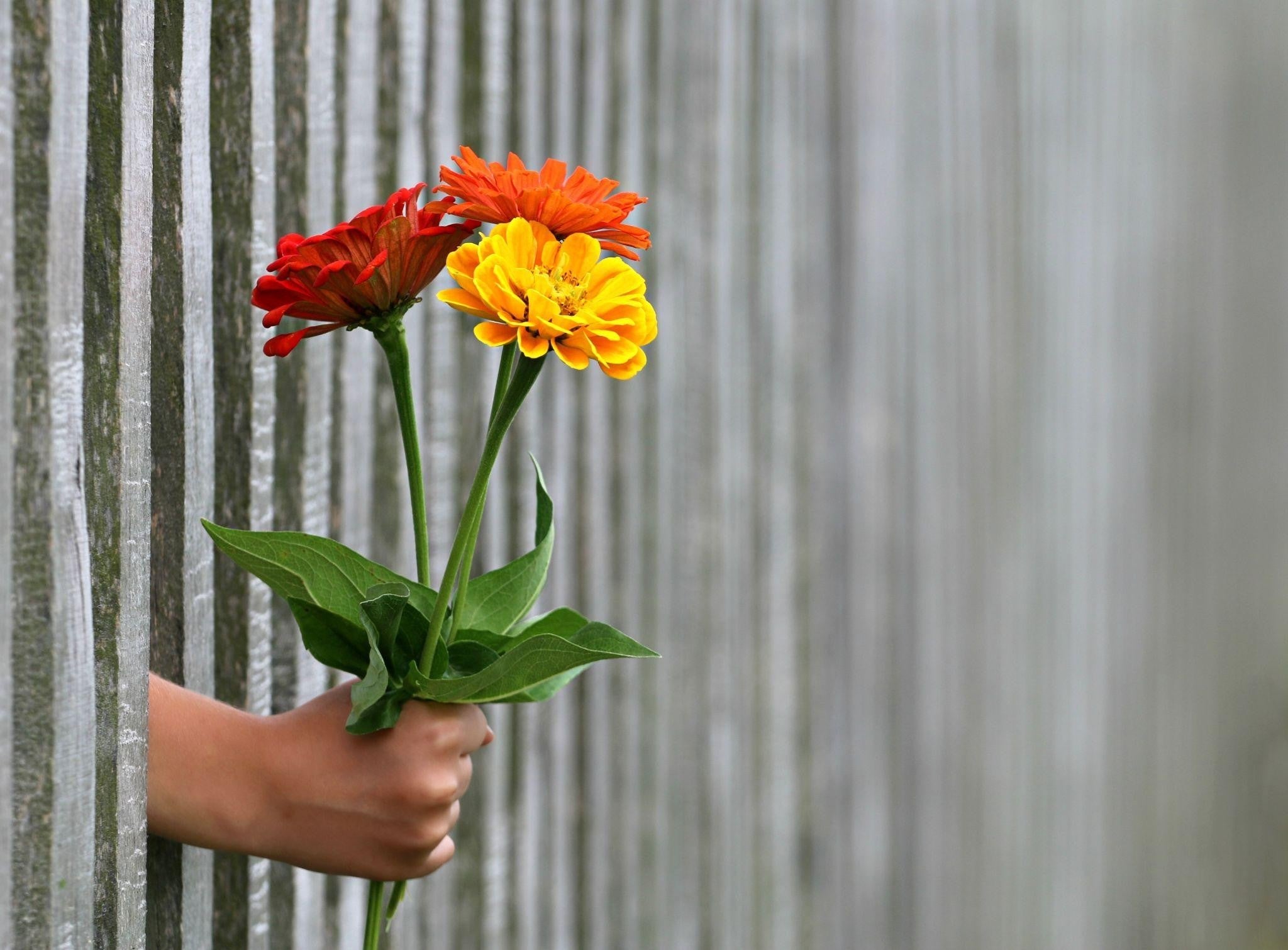 Eid Flower Gifts: A Guide to Meaningful Gifting
