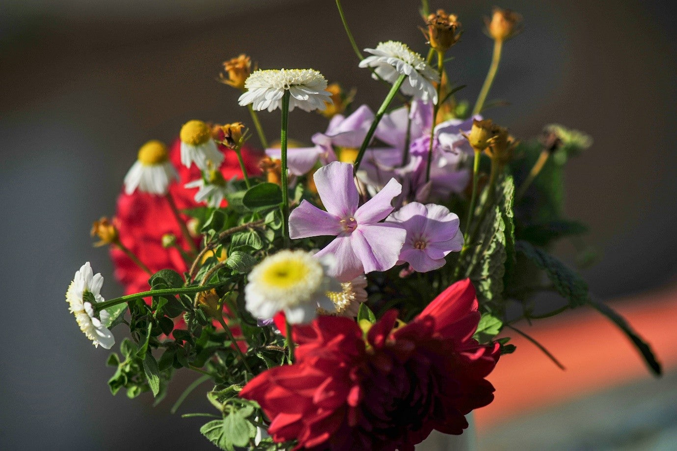 Father’s Day Flower Trends in Lahore 2026