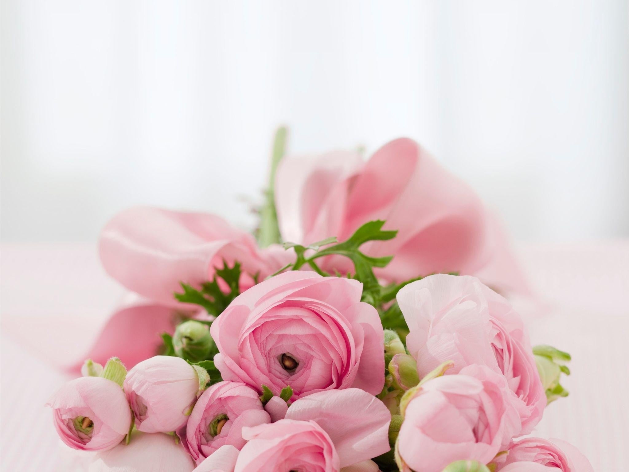 Flower Gifting Guide for Every Relationship