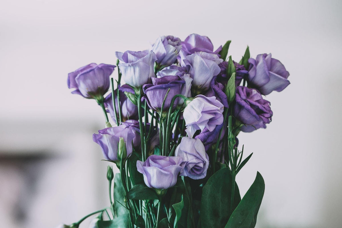 How to Choose a Bouquet When You Don't Know Their Favorite Flowers?