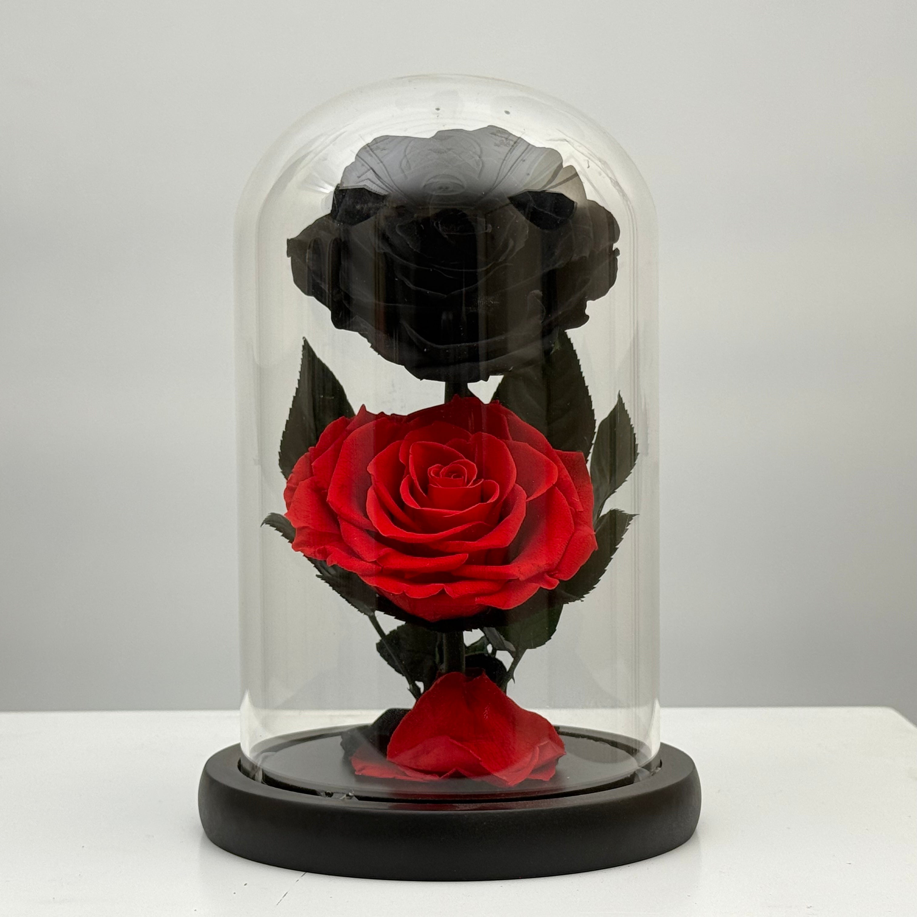 Red & Black Forever Red Rose