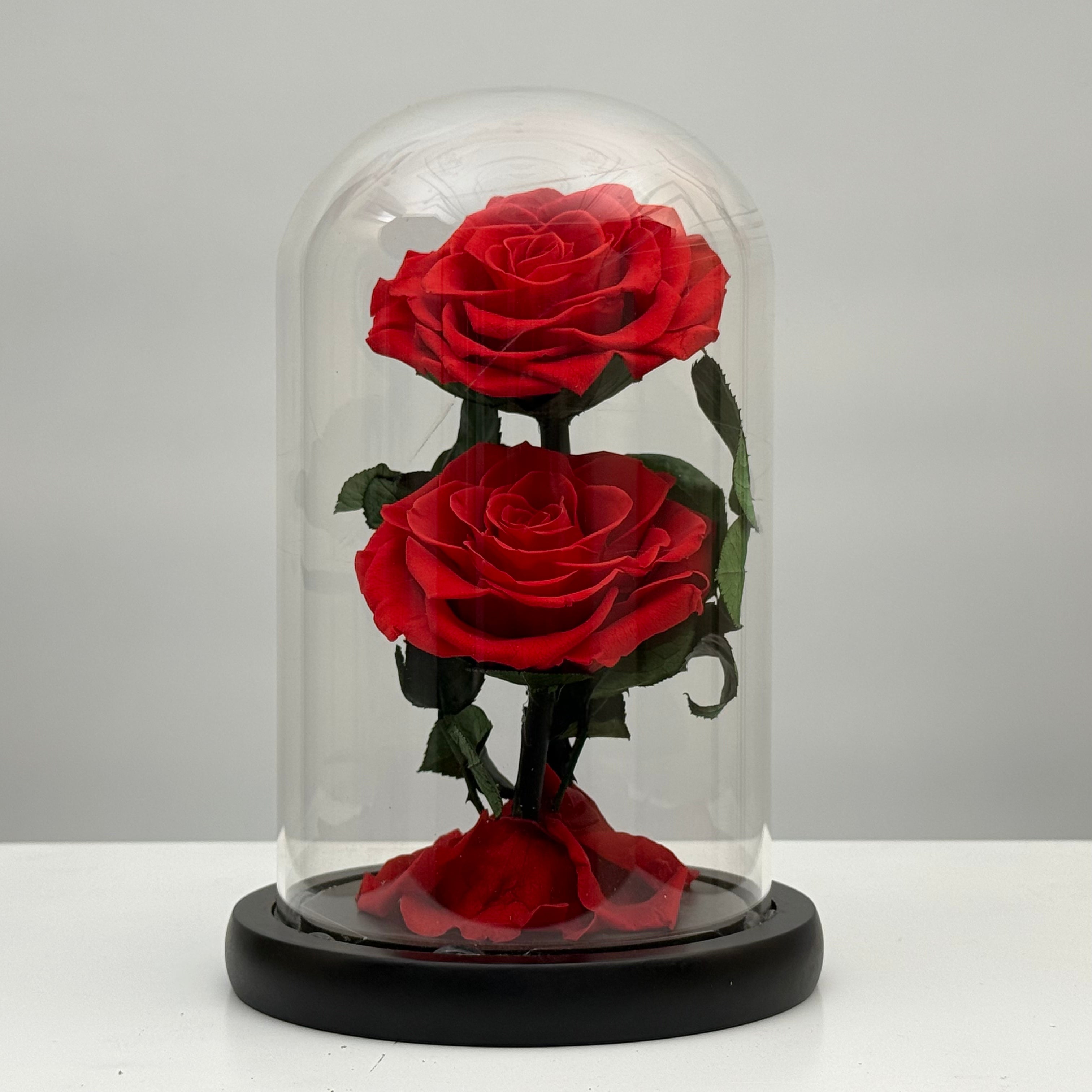 Dual Forever Red Rose