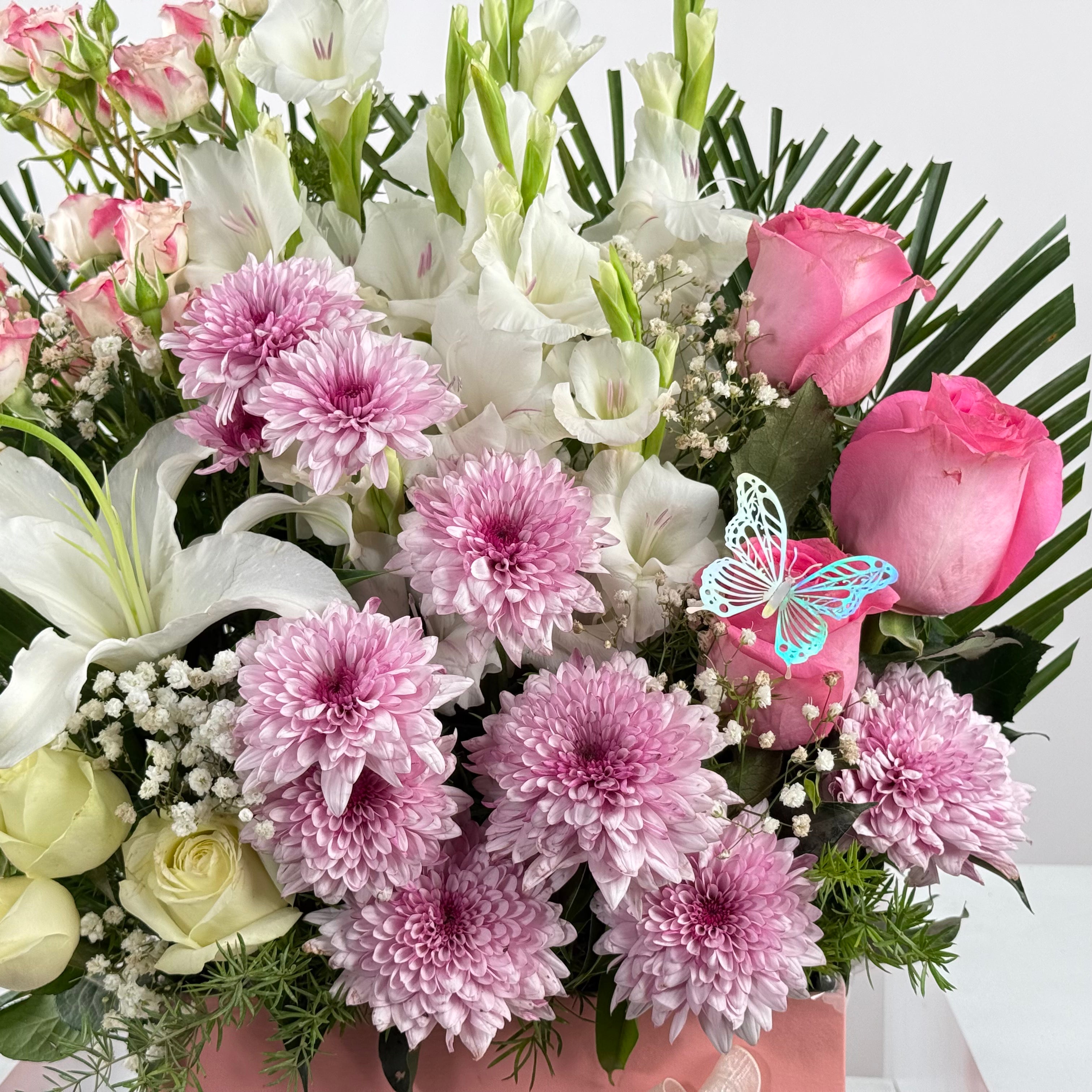 Limelight Extraction