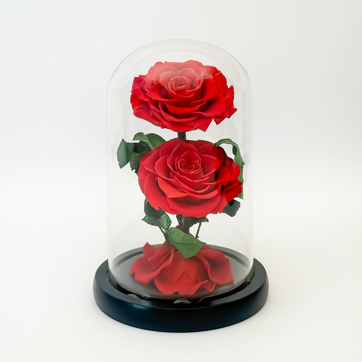 Forever Red Stem