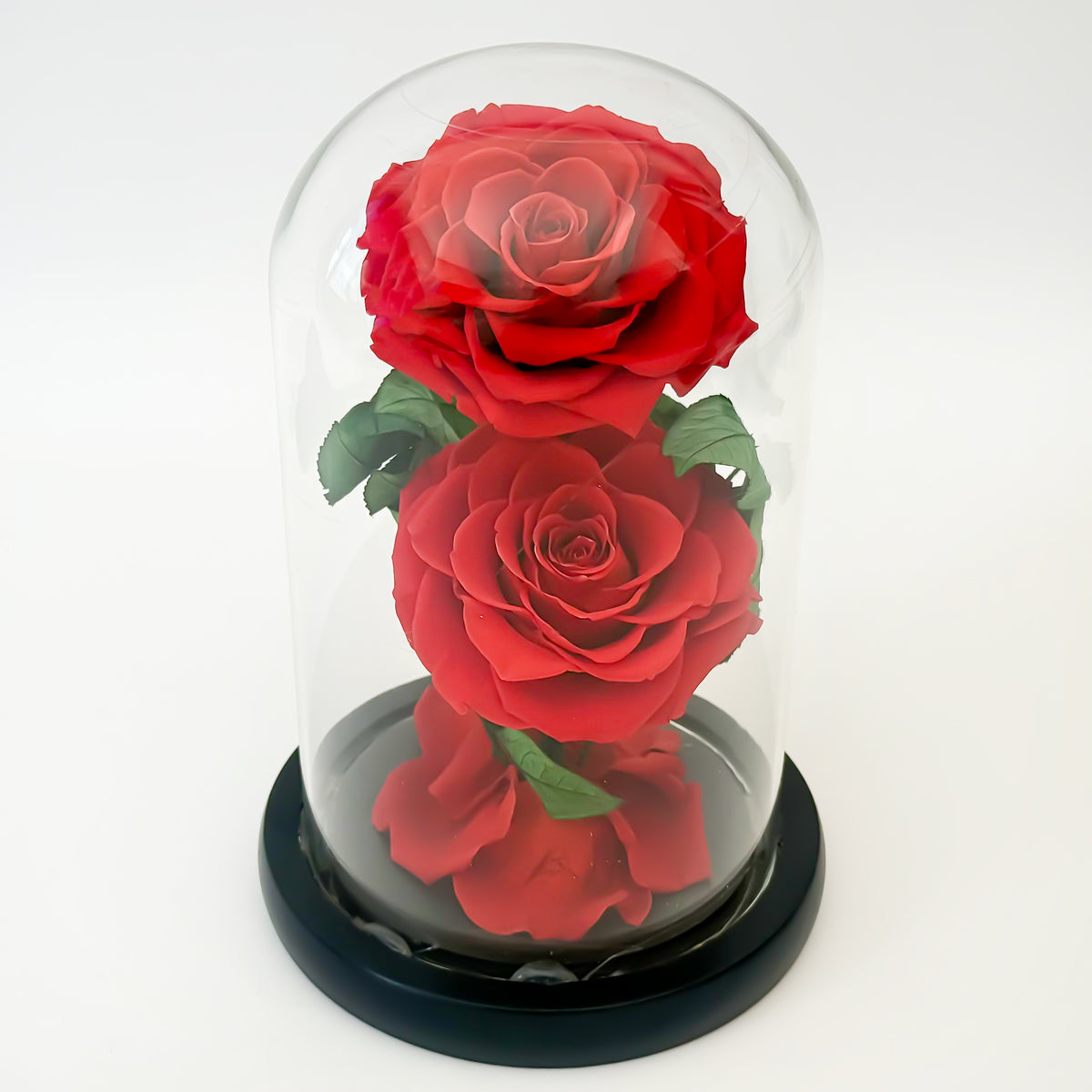 Forever Red Stem