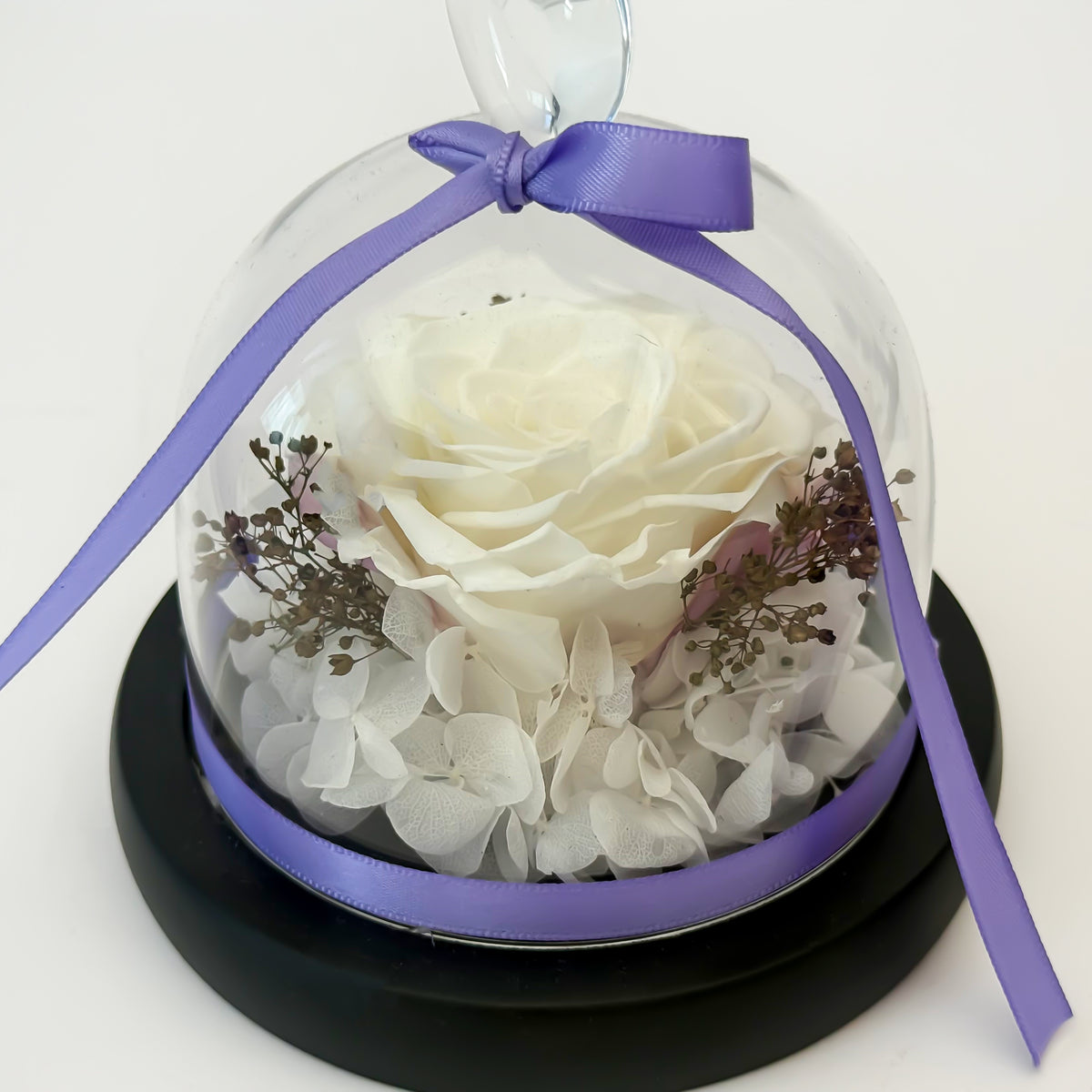 Forever White Rose