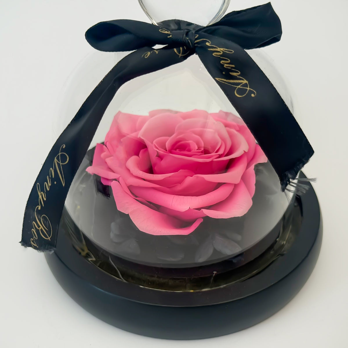 Forever Pink Rose