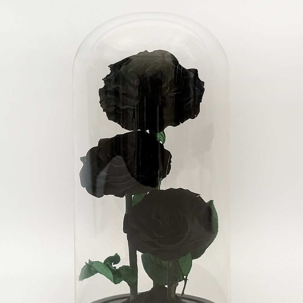 Forever Black Rose - (Triple)