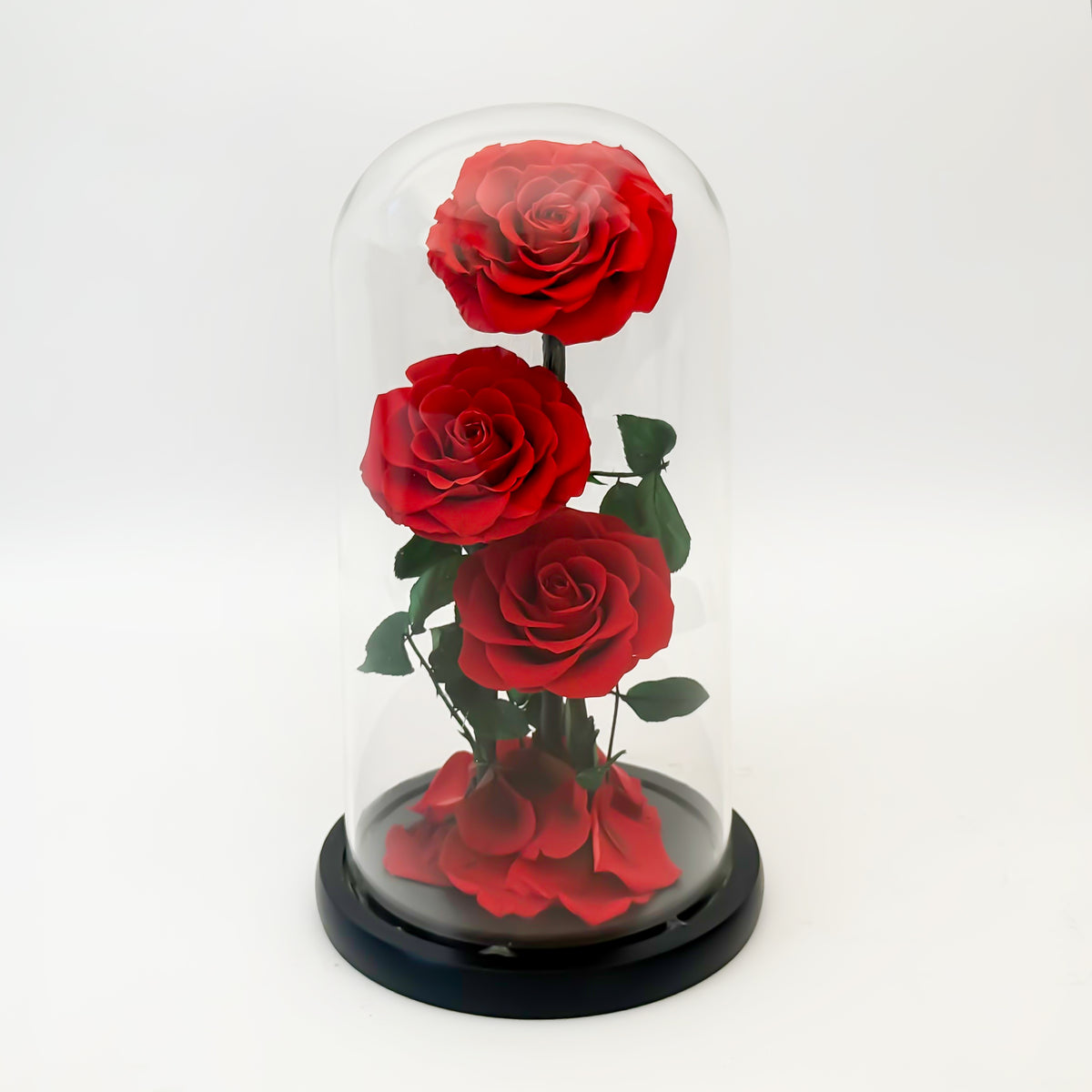 Forever Red Rose - (Triple)