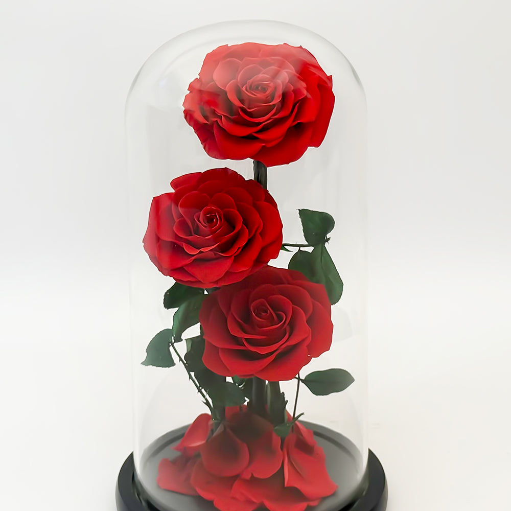 Forever Red Rose - (Triple)