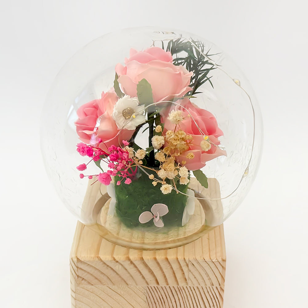 Timeless Rose