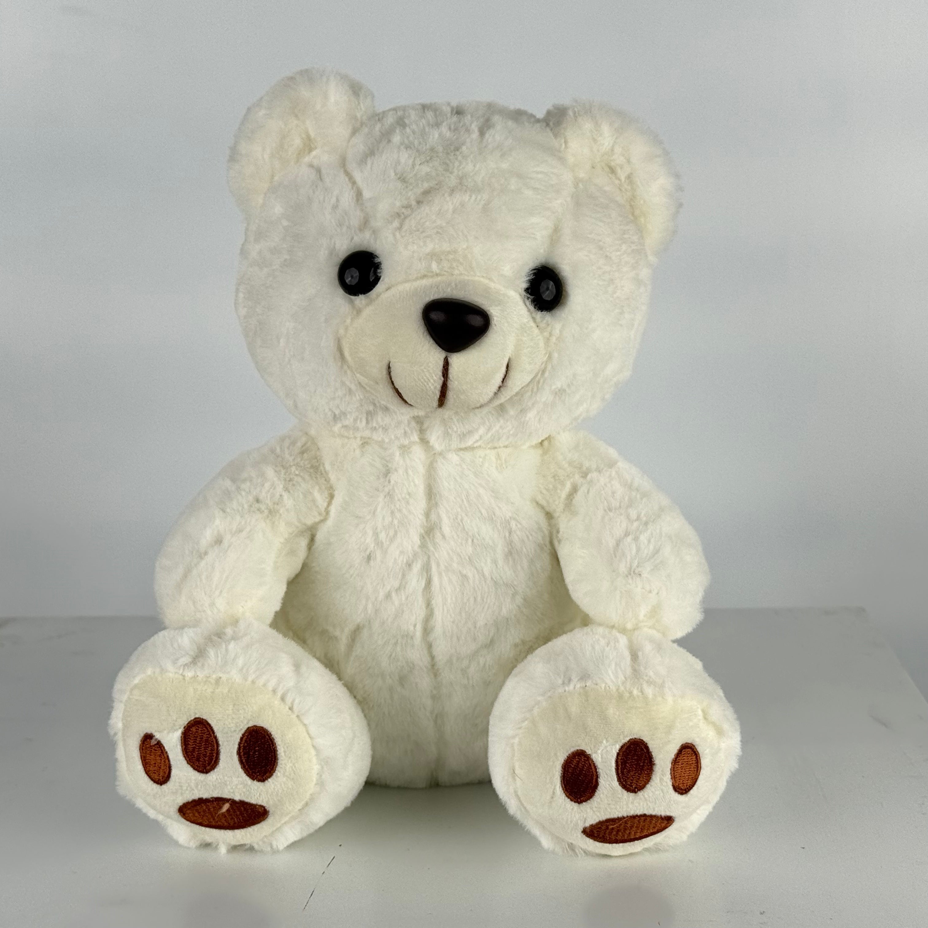 White Teddy Bear
